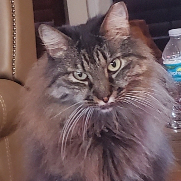 Meet your Posher, Mary - Picture 2 of 2